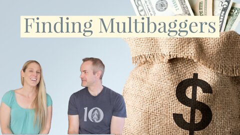 How to identify multibaggers