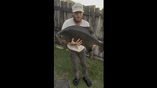 GIANT Exotic Fish Caught In South Florida!