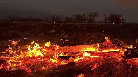The latest on the devastation fires in Hawaii 🔥