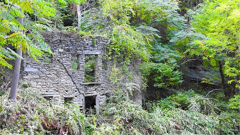 Gigantic Petrified Trees And Stone Wood Ruins Along River