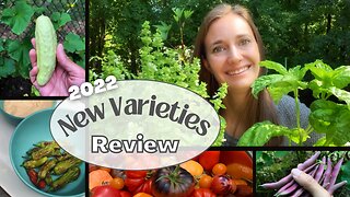 2022 Vegetable Review - BEST New Varieties I Tried this Year