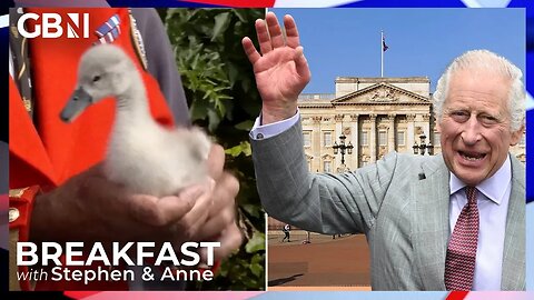 King Charles continues swan upping tradition with right to own unmarked swans | Cameron Walker