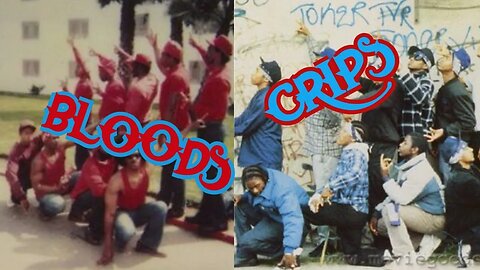 Bloods & Crips History and Origins.