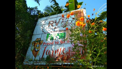 R.V CACAO FARM