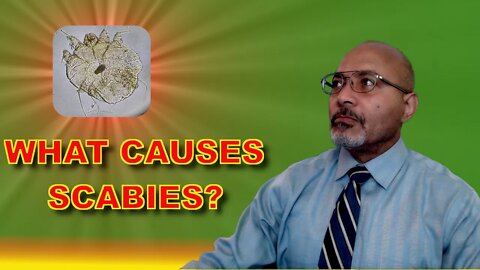 Can your pet pass scabies to you?