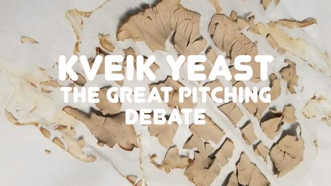 Kveik Yeast The Great Pitching Rate Debate