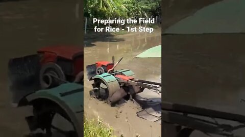 1st Step in Preparing a Rice Paddy for the New Crop - Machines Instead of Buffaloes