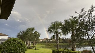 Rainbow In Paradise (Widescreen) #FYP #4K #DolbyVisionHDR #Rainbow #SWFL #mywalksinparadise #HDR