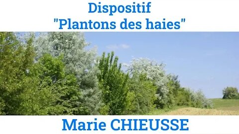 Dispositif "Plantons des haies", par Marie Chieusse