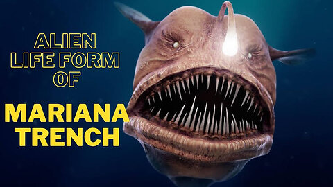 Mariana Trench - Deepest part of the Ocean || And The Deep Part of Creatures ||