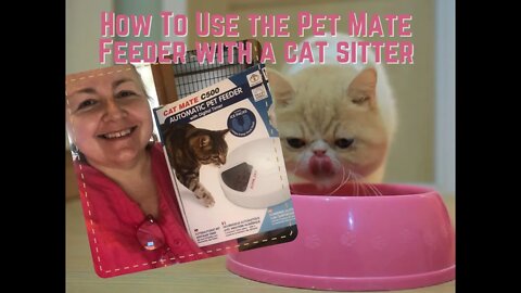 Purr View: How To Use a Cat mate 500 Feeder with a Cat Sitter