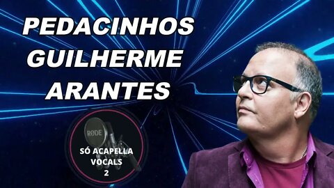 PEDACINHOS - GUILHERME ARANTES ACAPELLA