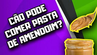 Cachorro pode comer Pasta de Amendoim? | Dr. Edgard Gomes | Alimentação natural para Cães