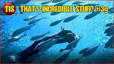 That's Incredible Compilation #39 People, Places & Nature #ExtremeSports #viral #trending #shorts
