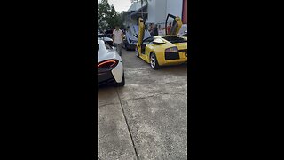 Mclaren and Lamborghini