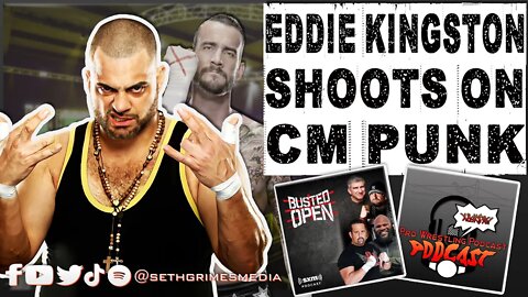 Eddie Kingston calls CM Punk a B*TCH! | Clip from Pro Wrestling Podcast Podcast | #cmpunk #aew #wwe