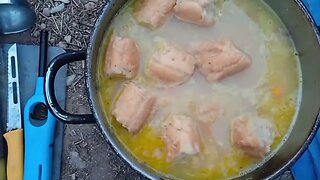 Chicken Stew Hobo Style.