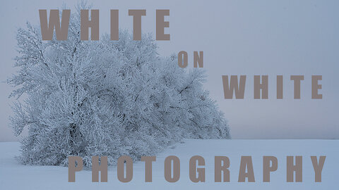 Winter White on White