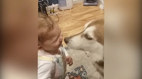 The dog licked the child's face