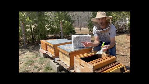 Installing a 3 Pound Package of Honeybees