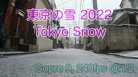 東京の雪 / Tokyo Snow 2022