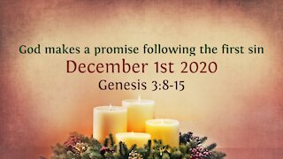 God makes a promise following the first sin - Advent Devotional 1st Dec. '20