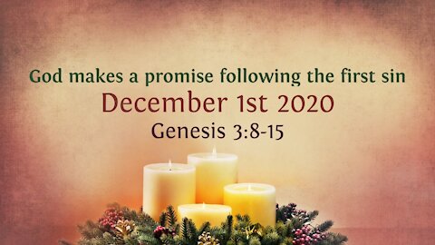 God makes a promise following the first sin - Advent Devotional 1st Dec. '20