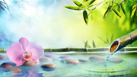 Japanese Spa Music – Bamboo Dreams