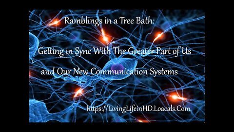 Ramblings in A Tree Bath- Getting in Sync With The Greater Part of Us and New Communication Systems