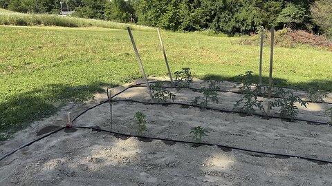 Finally got the drip line 💧going in the garden!