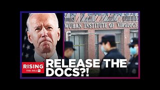 RELEASE THE DOCS! Lab Leak Remains CLASSIFIED In MASSIVE Disservice To Science, Truth: Emily Kopp