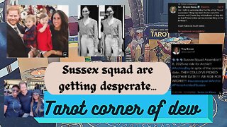 Sussex squad are getting desperate, what is going on there?