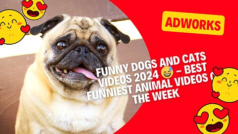 Funny Dogs And Cats Videos 2024 😅 - AdWorks' Best Funniest Animal Videos of the Week!"