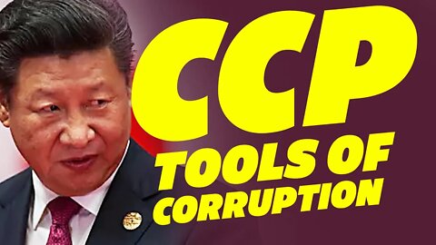 US Elections and the CCP'S Influence [Part 2]