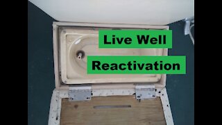 Pontoon Boat Live Well Reactivation - Let's Figure This Out