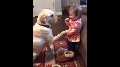 bonding between dog and a boy