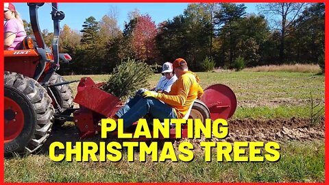 #194 Planting Christmas Trees With Mechanical Transplanter