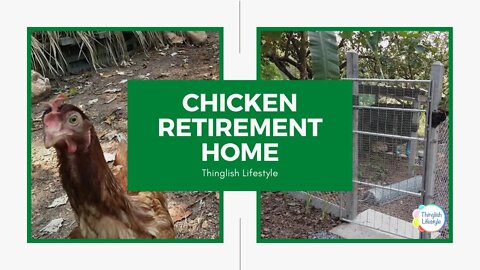 Chicken Retirement Home