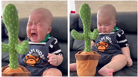 Talking Cactus Stops Baby From Crying