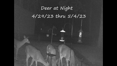 Deer at Night 4/29/23 thru 5/4/23