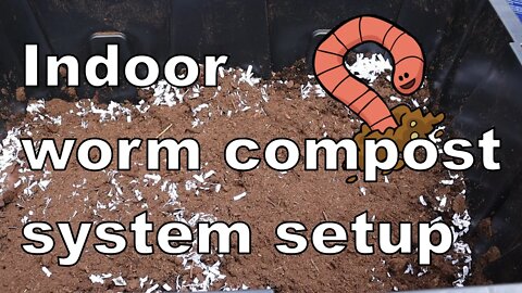 setting up an indoor worm compost bin with red wigglers