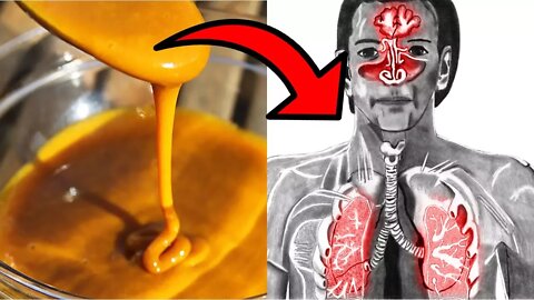 Golden Honey: This Natural Antibiotic Can Boost Your Immune System!