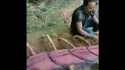 DIY making giant centipede out of clay
