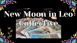 New Moon in Leo Collective Reading