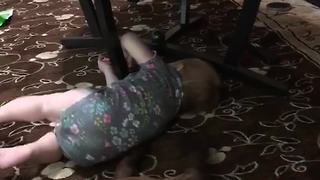 Baby Tries To Climb A Dog, Falls Down Hilariously