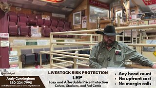 8/15/23 Cattle Market Report - Beaver County Stockyards