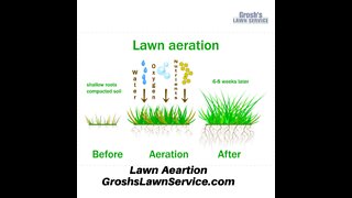 Lawn Aeration Hagerstown Maryland Lawn Care Service