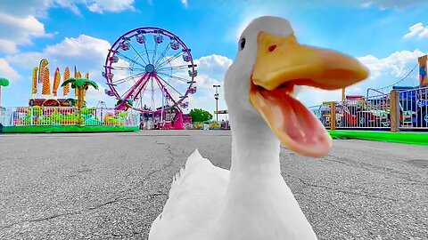 I took my duck to the State Fair 🎡🦆