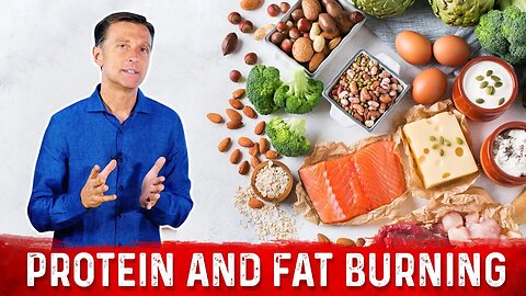 Protein & Fat Burning – Protein Foods & Food For Fat Burning – Dr. Berg