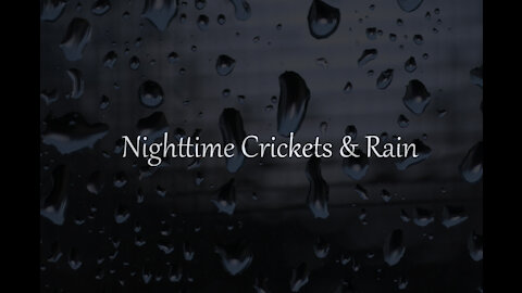 Nighttime Cricket & Rain Sounds | 3 Hours | Black Screen
